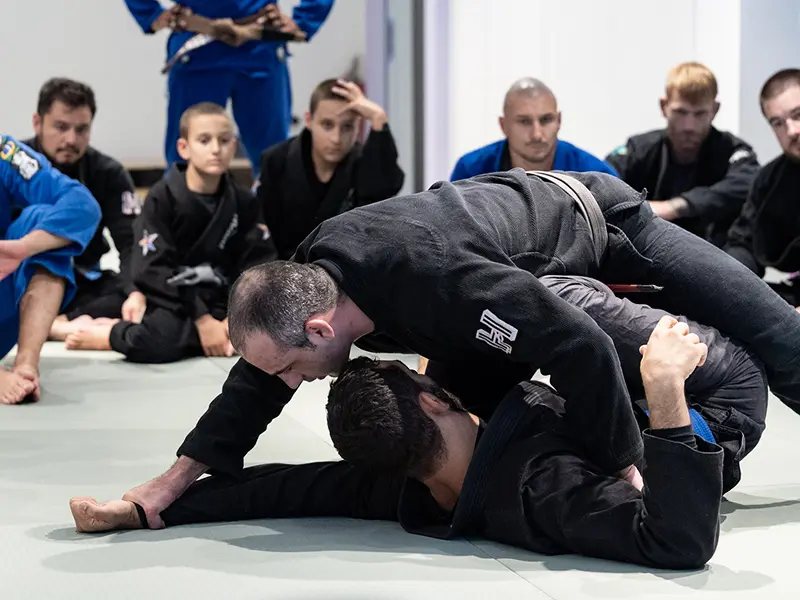 Cover image for article: Brazilian Jiu-Jitsu Programm bei HOGA