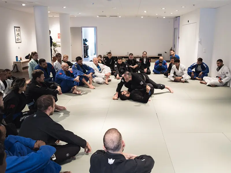 BJJ Instruction