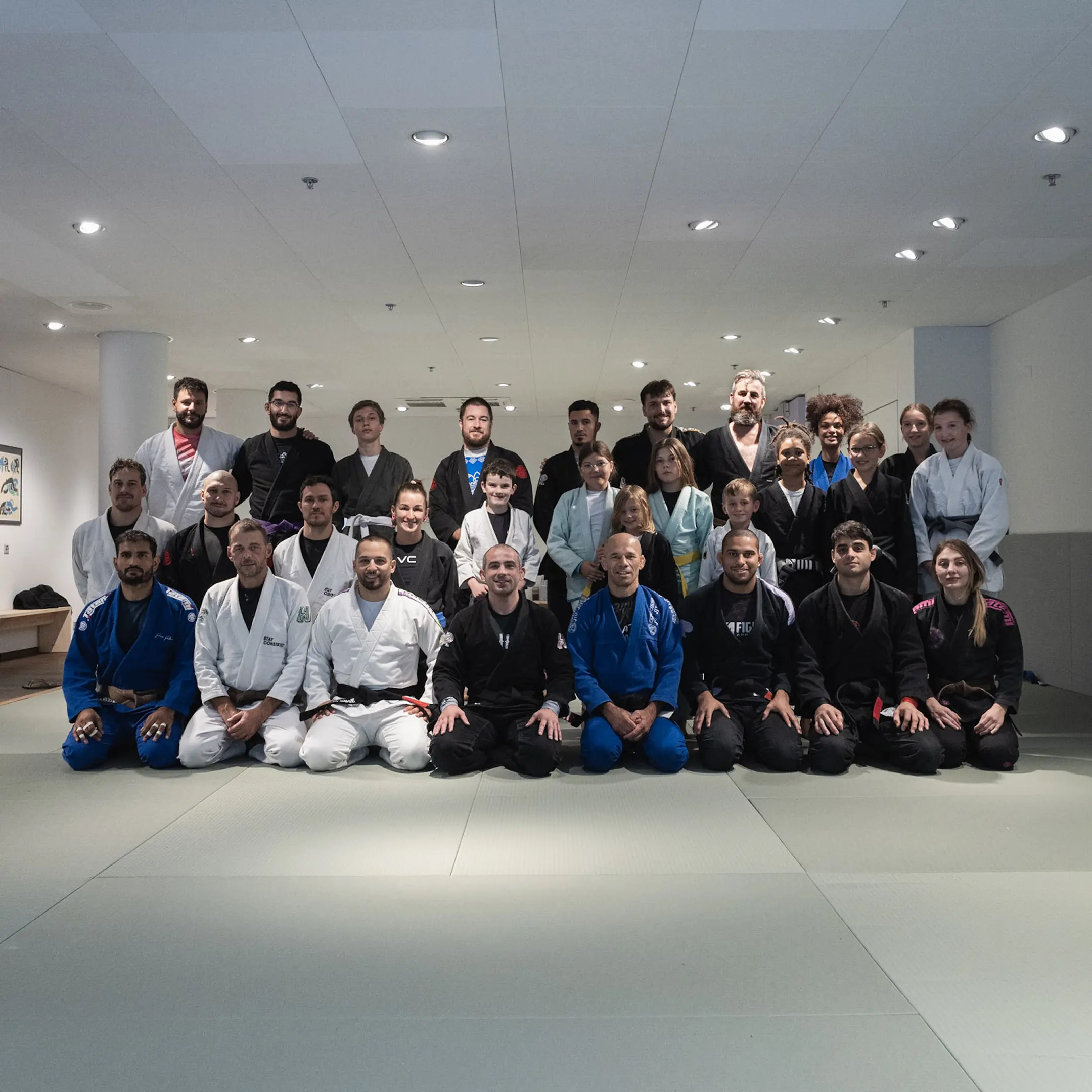 Adults BJJ class